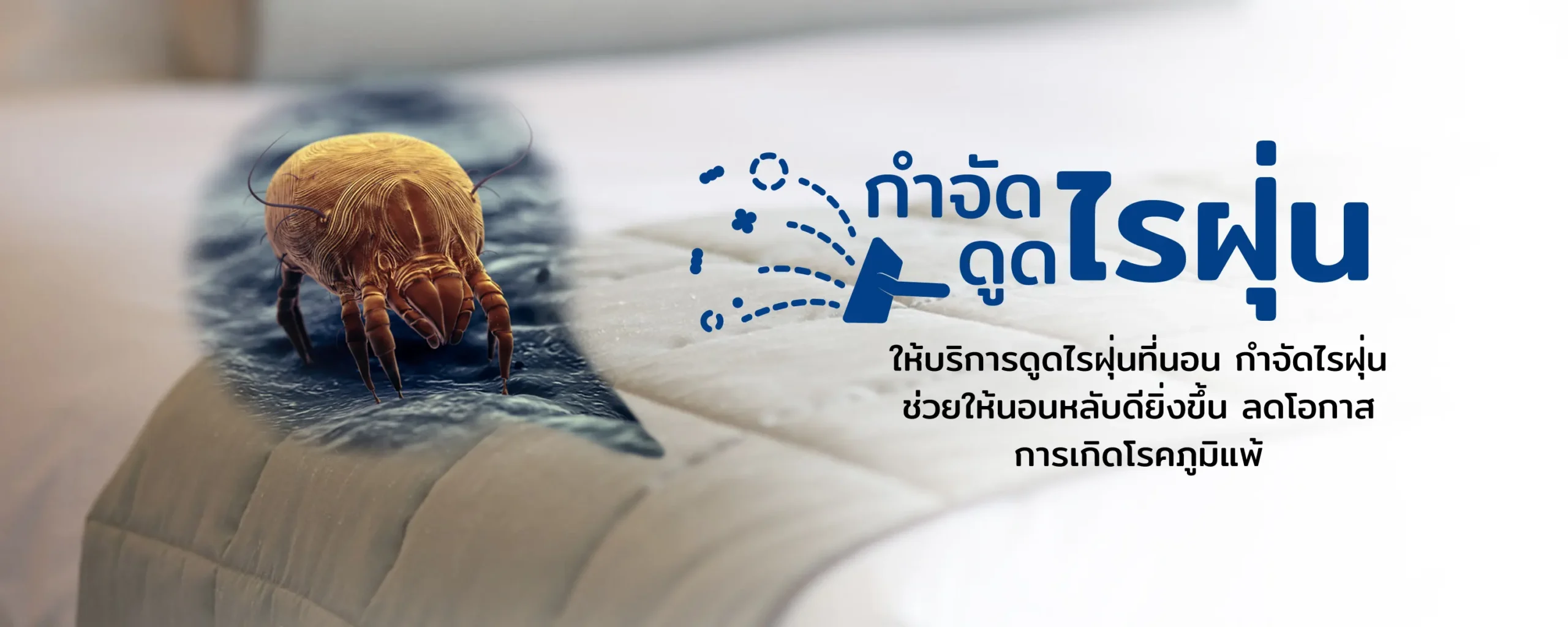 บริการกำจัดไรฝุ่นที่นอน